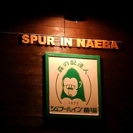 Spur In Naeba Villa Kusatsu  Esterno foto