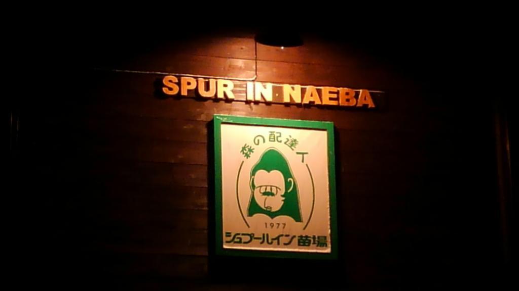 Spur In Naeba Villa Kusatsu  Esterno foto